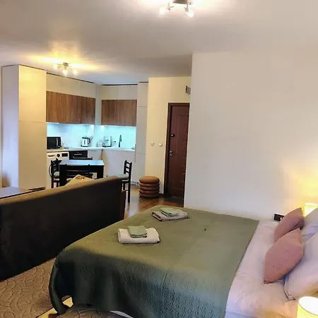 Apartment Great View Pirin Palace